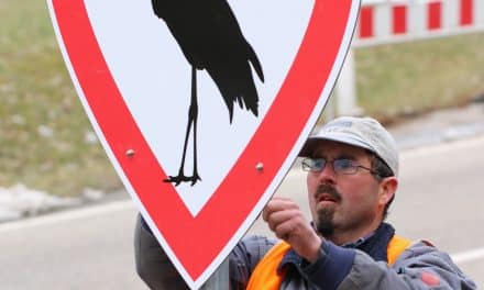 Herzloser Diebstahl: Beliebtes herzförmiges Verkehrsschild aus Tripsdrill entwendet