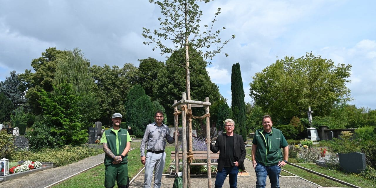 BUND Worms spendet sieben heimische Bäume für Wormser Friedhöfe