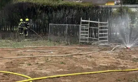 Heckenbrand in Stein-Bockenheim – Feuerwehr verhindert Übergreifen auf Wohngebäude