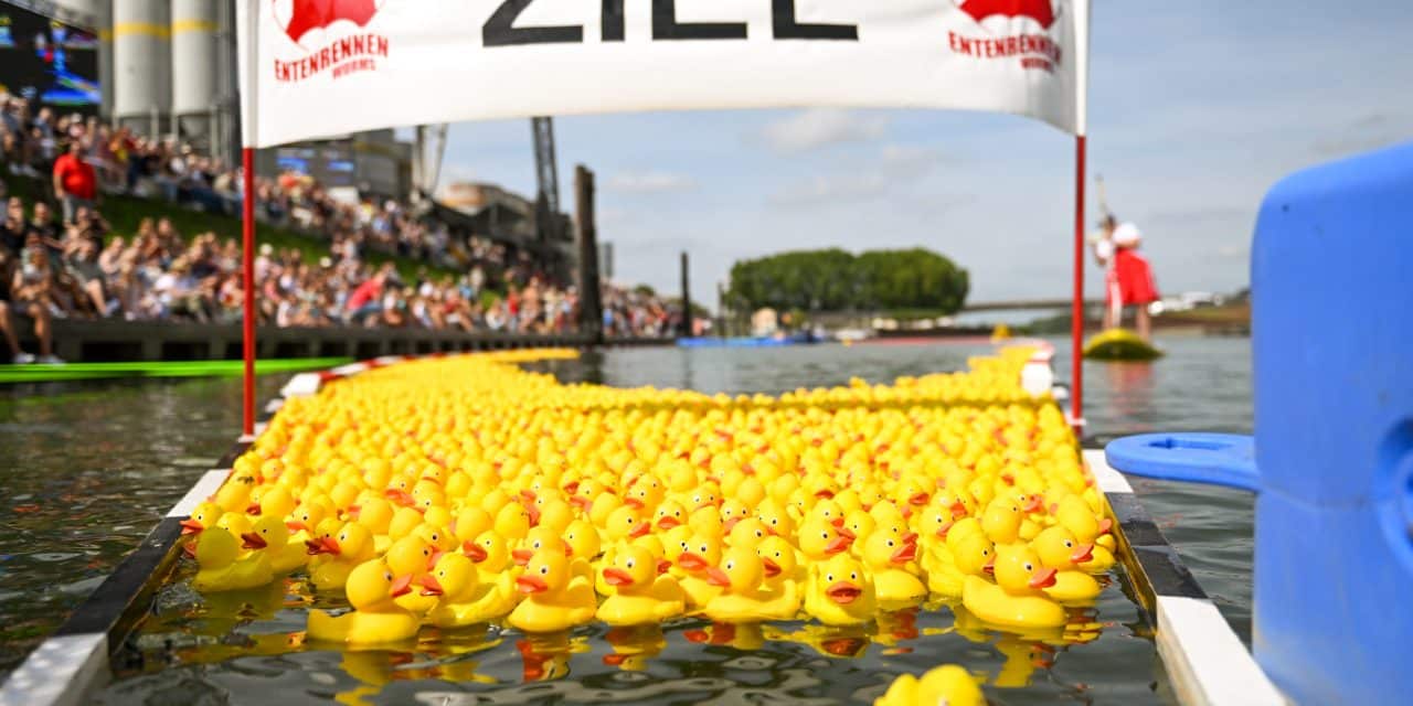 Quietschen für den guten Zweck – Worms fiebert dem Entenrennen entgegen