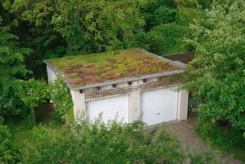 „Was Sie schon immer über Regenwasserrückhaltung & Gebäudegrün wissen wollten“
