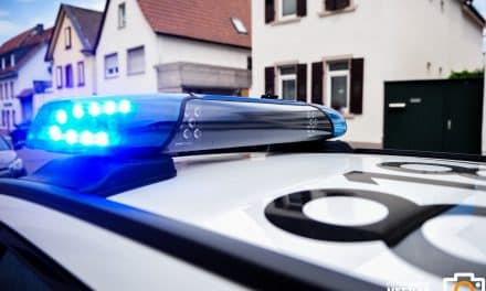 Verkehrsunfall mit verletztem unbekanntem Kind in Frankenthal