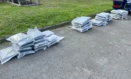 Supernasen – Zollhunde Fiete und Kim erschnüffeln über 50 kg Drogen im Wert von ½ Million Euro – 1 Person in Haft