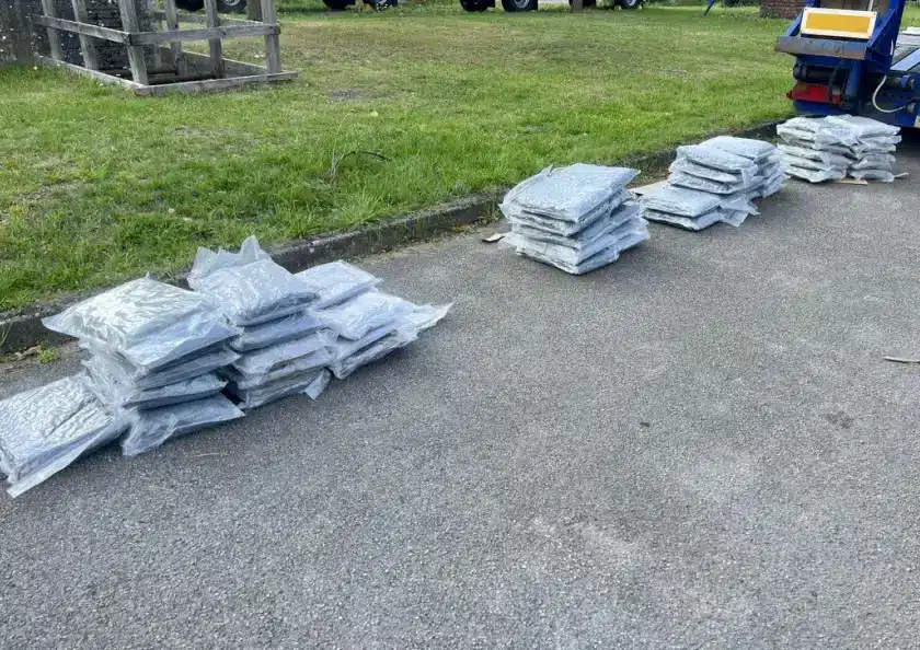 Supernasen – Zollhunde Fiete und Kim erschnüffeln über 50 kg Drogen im Wert von ½ Million Euro – 1 Person in Haft