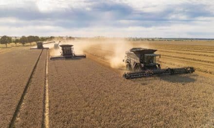 Agravis zieht Bilanz der Ernte 2025: Regional unterschiedlich – teilweise Top-Erträge
