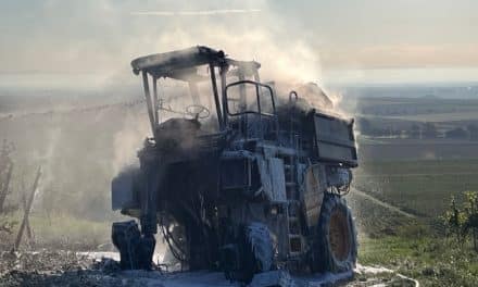Feuer zwischen den Reben: Vollernter geht in Flammen auf