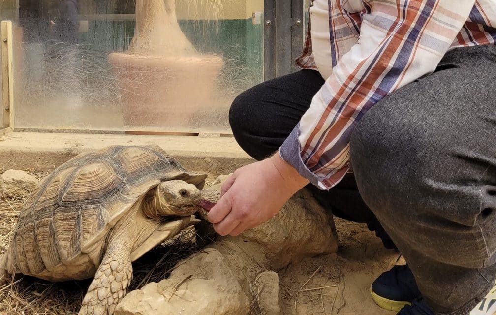 Ein Herz für Tiere: Tiergarten Worms feiert seine Tierpat:innen