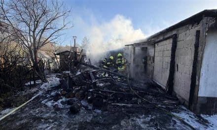 Rauch über dem Holzhof – Feuerwehr löscht Brand in Wormser Kleingartenanlage