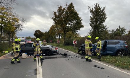 Frontalzusammenstoß am Fahrweg – Drei Verletzte bei Verkehrsunfall in Worms