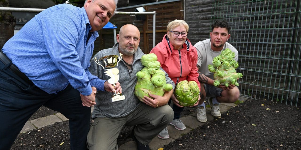 Arvydas Peciulis verteidigt den Titel: Wormser erneut Kohlrabi-König