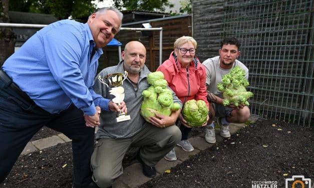 Arvydas Peciulis verteidigt den Titel: Wormser erneut Kohlrabi-König