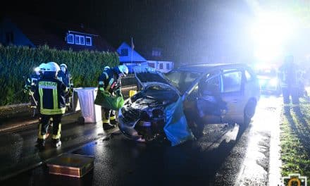 Alkoholfahrt endet an einem Baum – Fahrer flüchtet nach Unfall in Eich