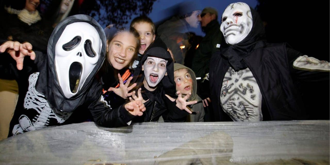 Gruselspaß & Lichterzauber – Halloween-Highlight im Luisenpark