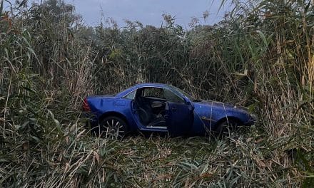 Verkehrsunfall auf der L437 – Fahrzeug überschlägt sich und landet im Schilf