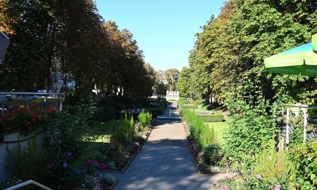 Sanierung des Senkgartens zwischen Parmaplatz und 118er-Denkmal im Wormser Adenauerring