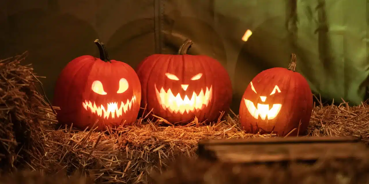 Heide Park Halloween: Wenn der Freizeitspaß zur Gänsehaut wird!