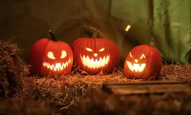 Heide Park Halloween: Wenn der Freizeitspaß zur Gänsehaut wird!