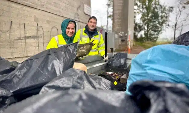 Global Day of Service: Lilly-Team engagiert sich sozial in Alzey
