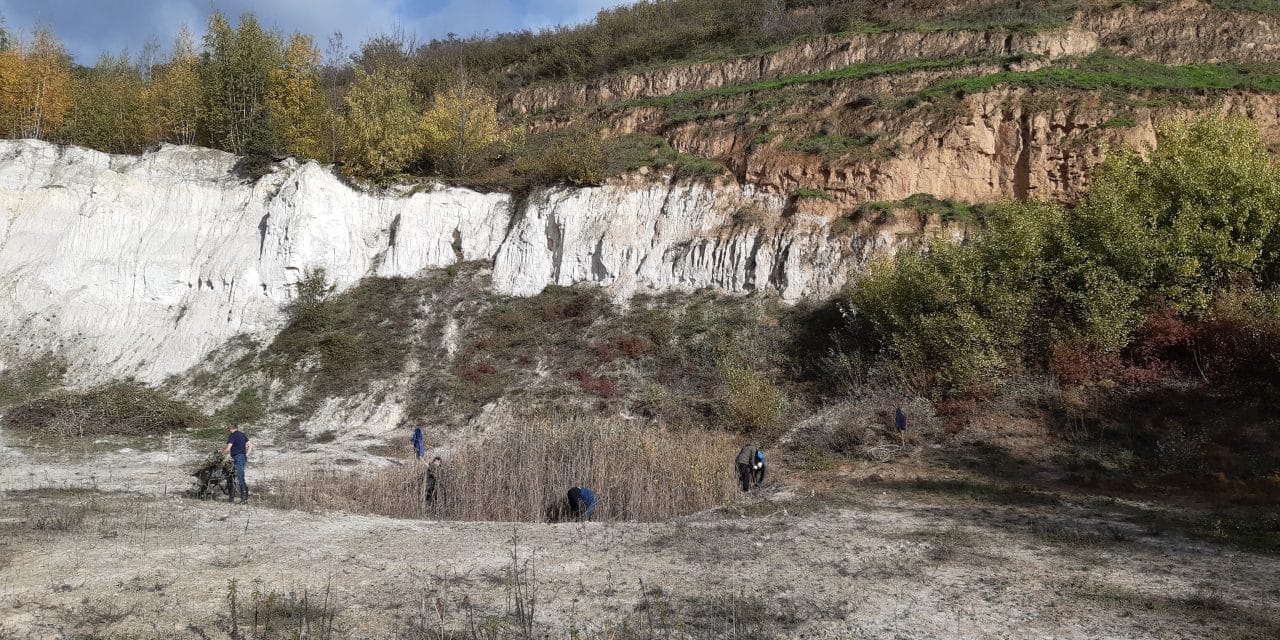 NABU pflegt Sandgrube Monsheim – Einsatz für einen Hotspot der Artenvielfalt