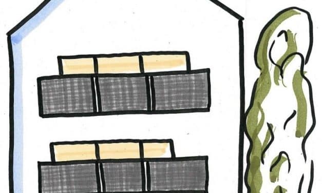 Mein Balkon, meine Energie – Fördermöglichkeiten für Ihr Balkonkraftwerk
