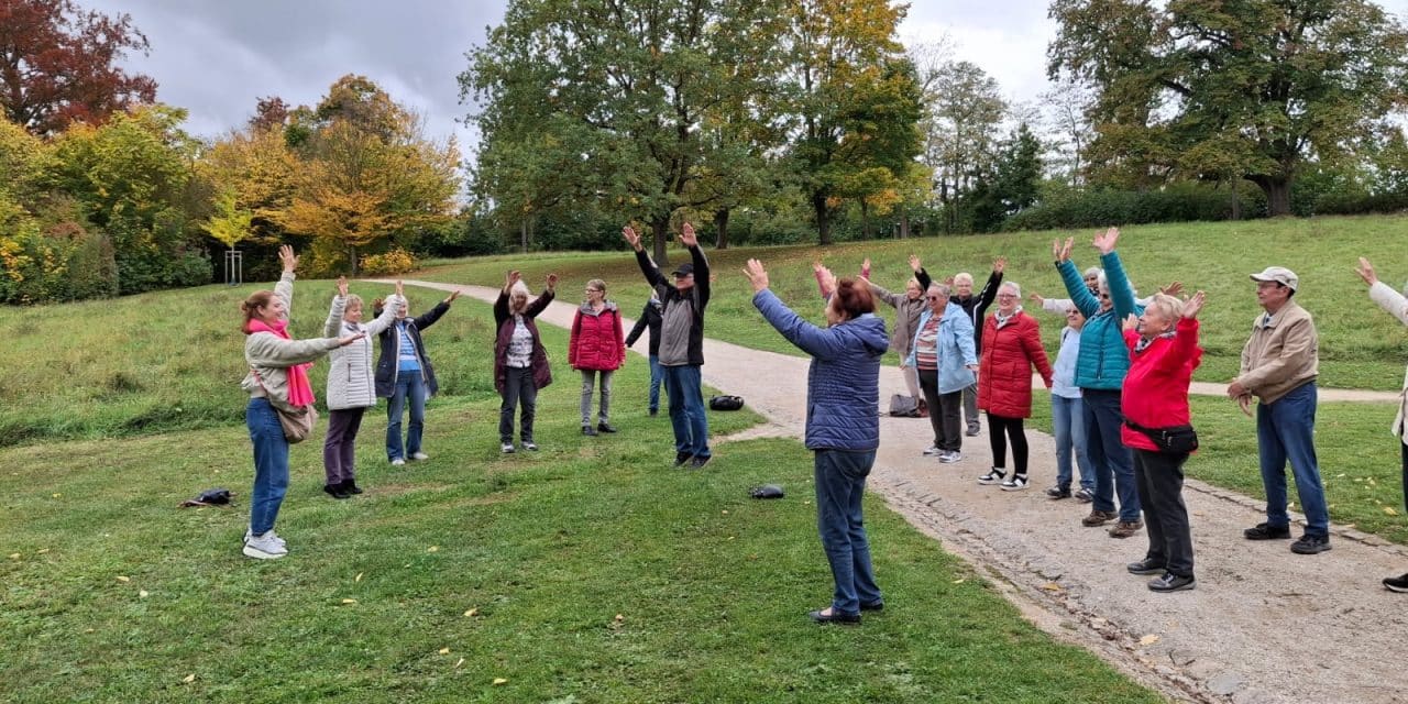 Bewegung im Schlosspark: Gemeinsam aktiv am 26. November