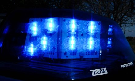 Unbekannter kollidiert mit geparktem Ford Transit in Dreisen und verursacht 1.000 Euro Schaden