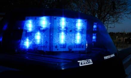 Unter Cannabiseinfluss auf dem Weg zur Arbeit in Neustadt/W.