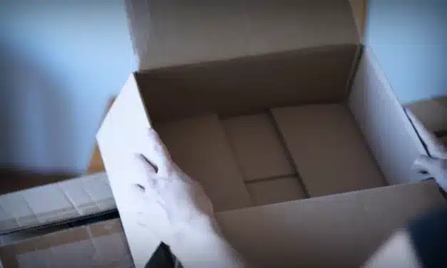 Genug Betrug: Stark gegen Fake-Shops – Mit digitaler Kompetenz sicher einkaufen