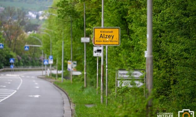 Heiraten in Alzey: Trautermine 2026 jetzt buchbar