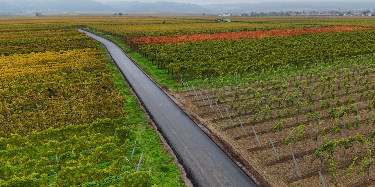 Weinbautreibende Länder müssen klares Signal senden