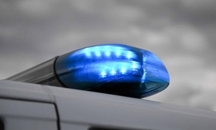 Einbruch in einen Lebensmittelmarkt in Freinsheim – Täter flüchtig