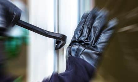 Flonheim im Visier von Einbrechern – Polizei warnt und bittet um Hinweise