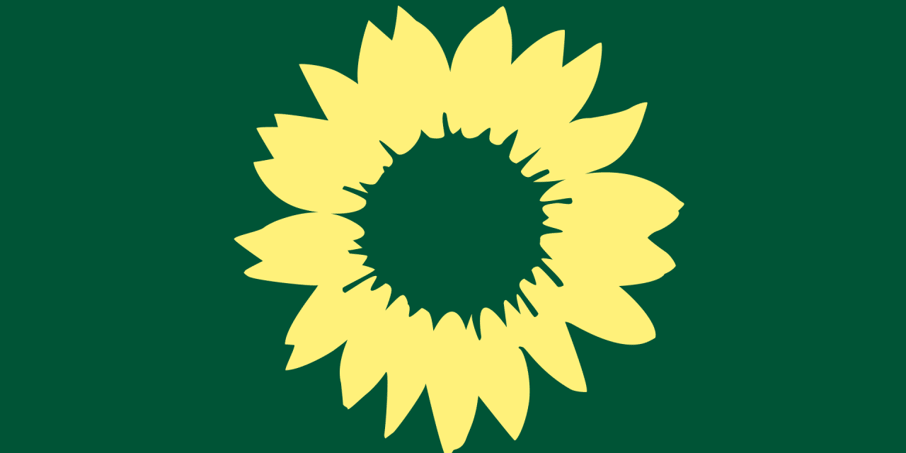 Koalition stoppt Windrad-Pläne – Grüne werfen Stillstand vor