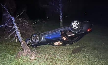 Mercedes überschlägt sich nach Baumkollision auf B39 – zwei Leichtverletzte