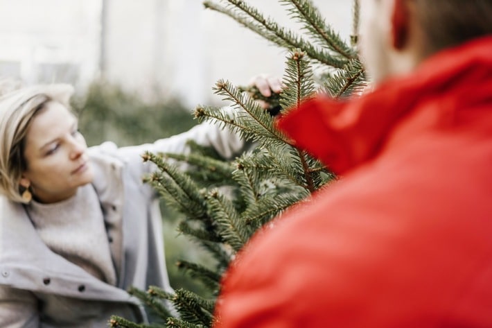 Tradition trifft Verantwortung: Weihnachtsbäume bei BAUHAUS ökologisch und fair