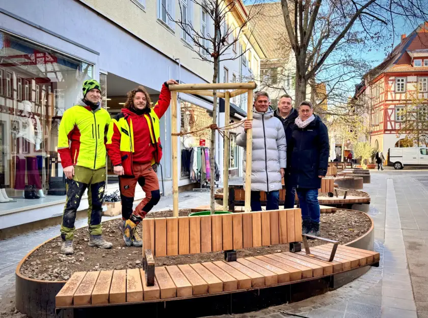 Amberbaum für die neue Spießgasse – Firma Baumpflege Basch spendet Baum für Innenstadt