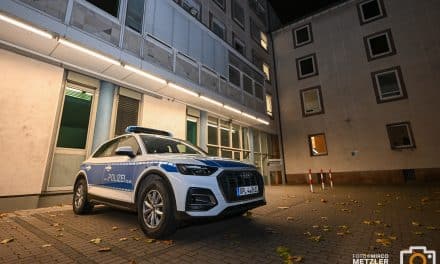 Unbekannter BMW-Fahrer flüchtet nach nächtlicher Unfallserie in Worms-Weinsheim