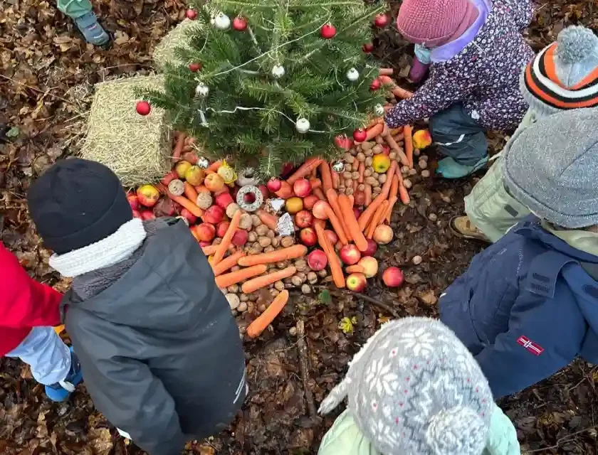 Eine Tradition, die wächst: Kita „Haus der Klänge“ feiert Waldweihnacht