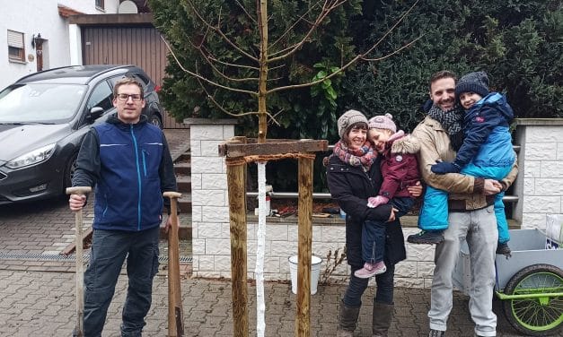 Klimabaum-Initiative in Osthofen wächst weiter: Bereits 74 Bäume gepflanzt