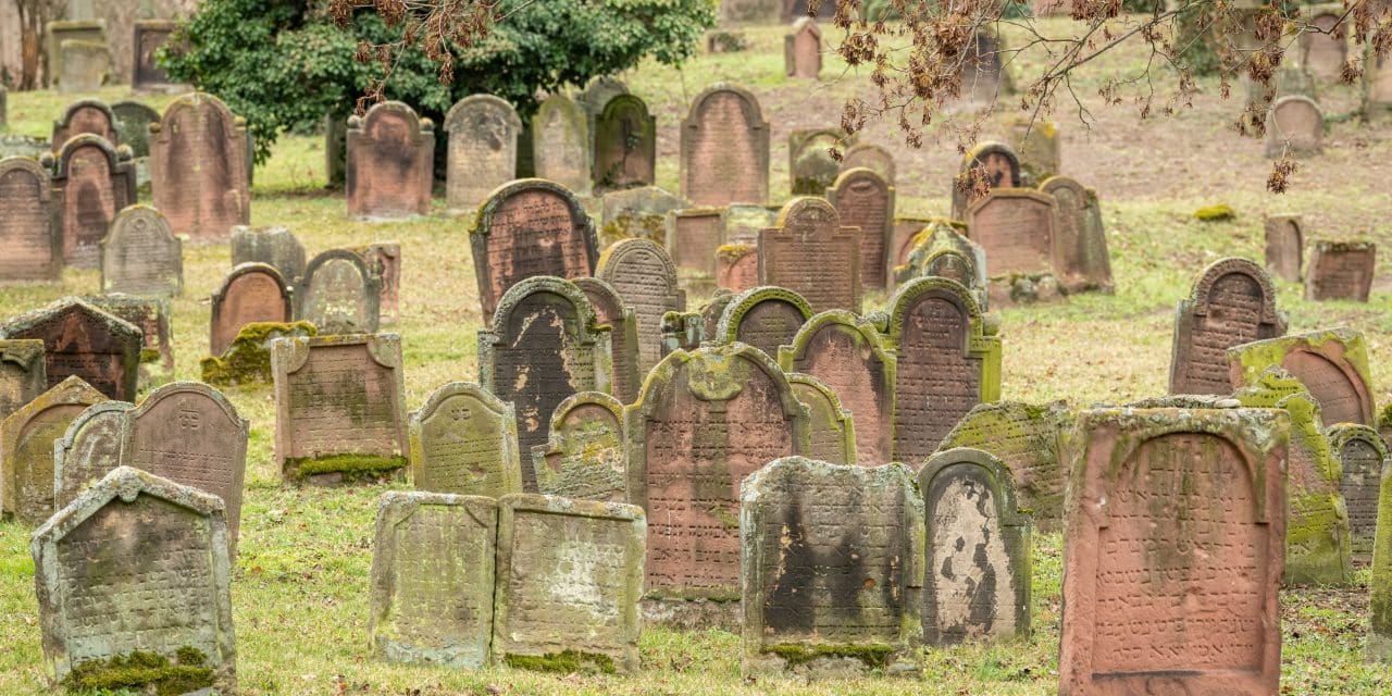 „Heritage Talks“: Neue Vortragsreihe zum Erbe der Menschheit startet