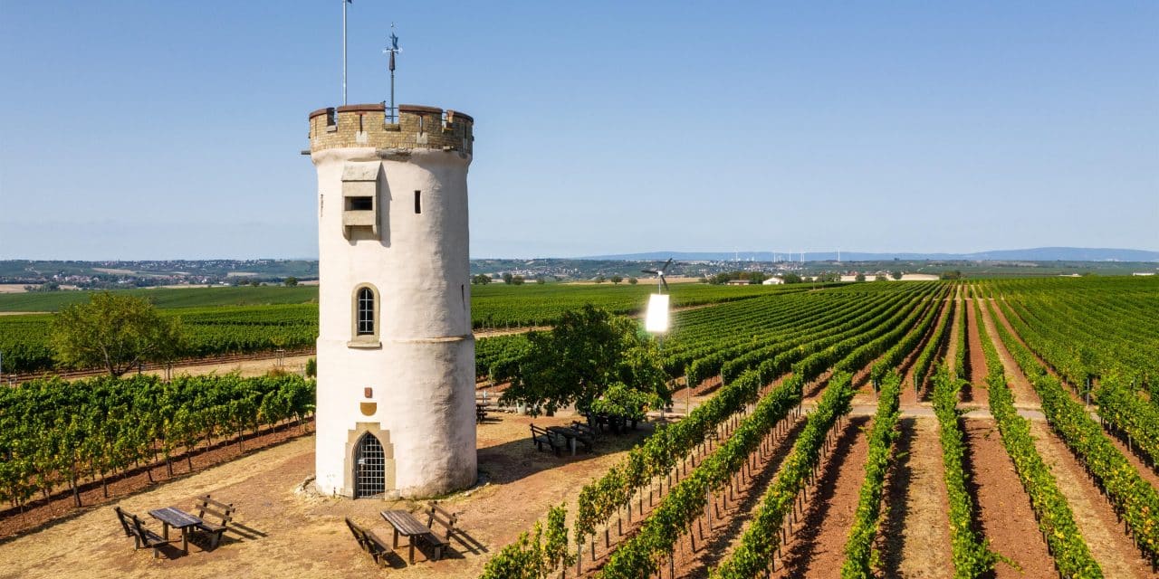 Vandalismus in Nierstein: Wartturm-Vorhängeschloss beschädigt