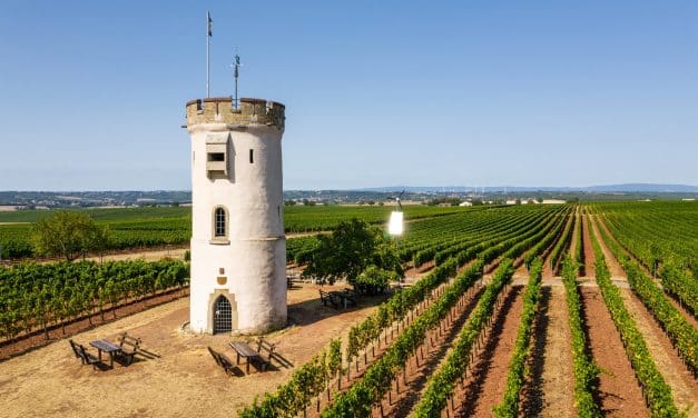 Vandalismus in Nierstein: Wartturm-Vorhängeschloss beschädigt