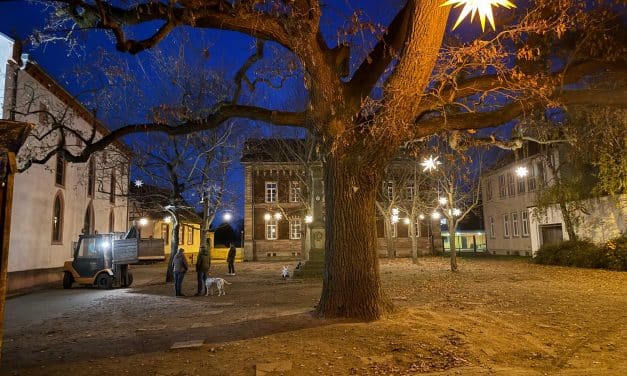 Heppenheimer Adventsmarkt 2025 öffnet am 7. Dezember