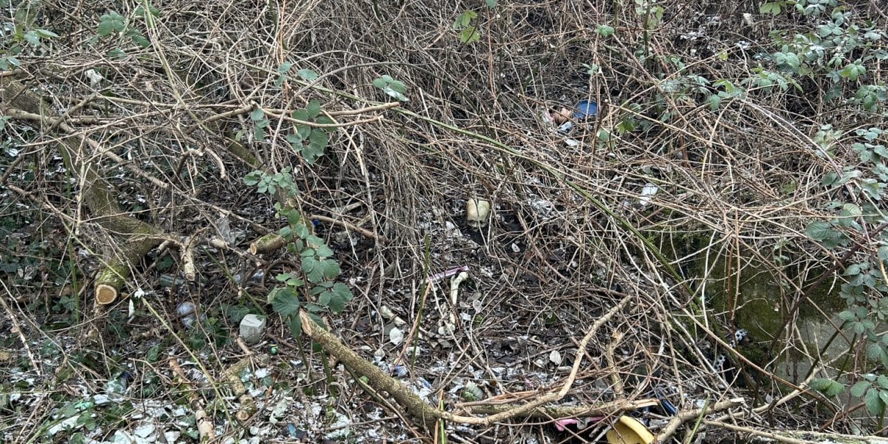 Unheimlicher Fund in Worms: Menschlicher Schädel und weitere Knochen entdeckt