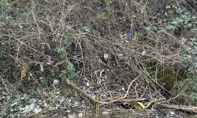 Unheimlicher Fund in Worms: Menschlicher Schädel und weitere Knochen entdeckt