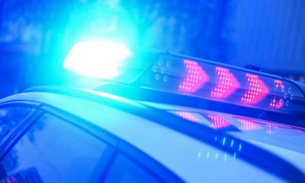 Gefährliche Fahrt auf der B9: Betrunkene Fahrerin aus dem Verkehr gezogen