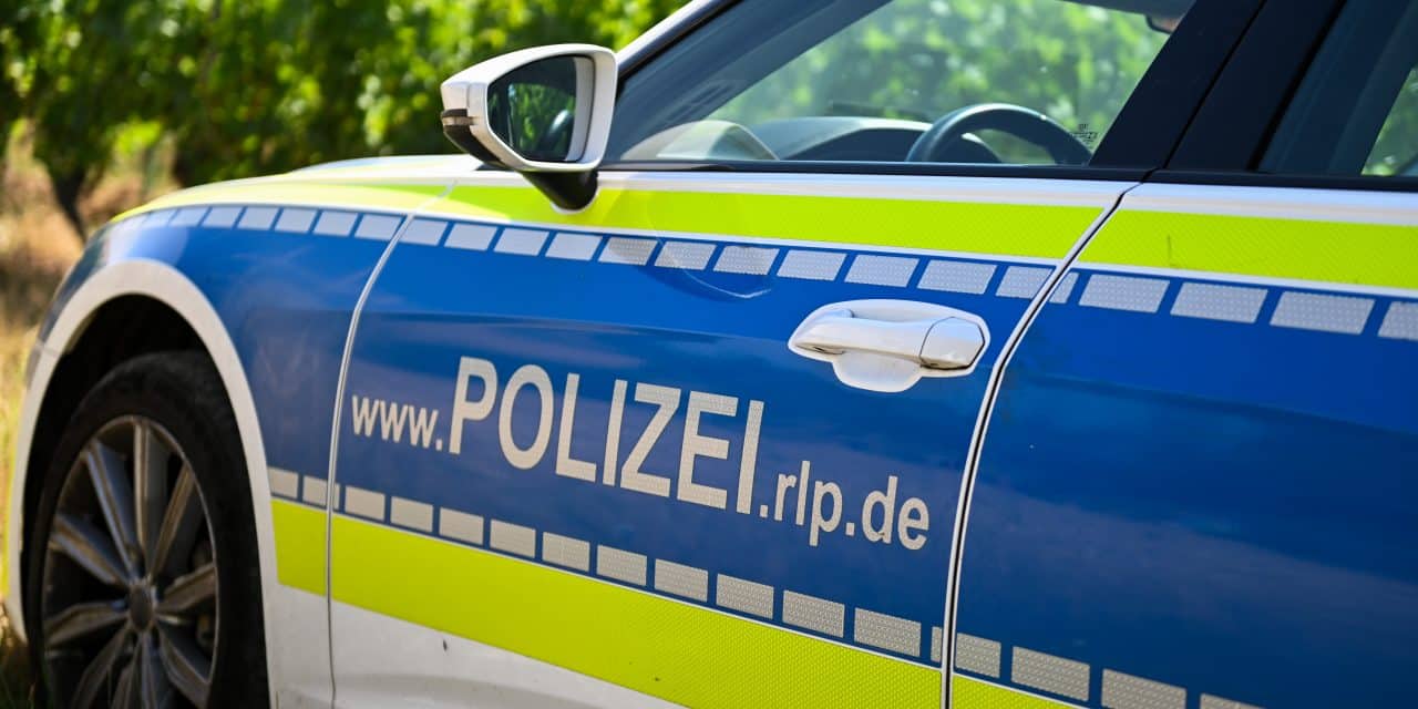 Rasierklingen im Wert von 700 Euro gestohlen – Drei Männer in Grünstadt festgenommen