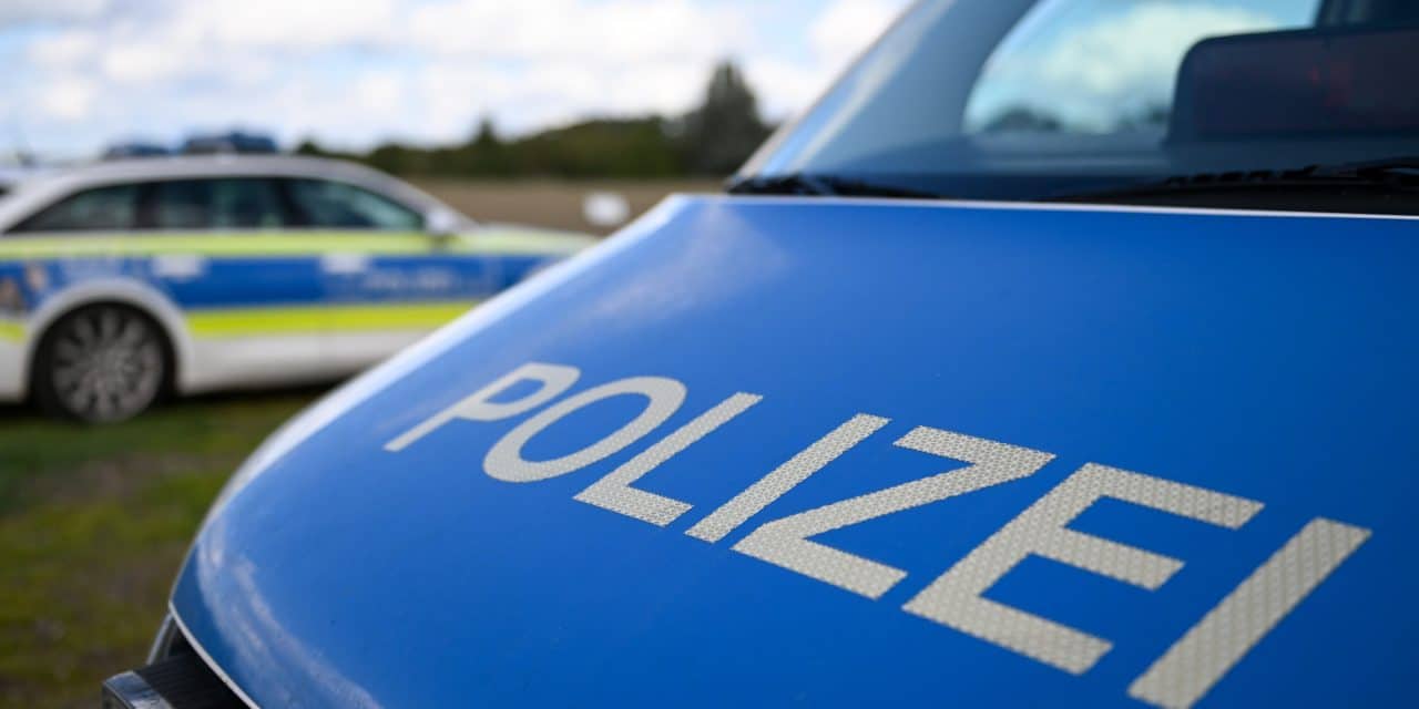 Explosiv und gefährlich: Polizei sichert Böller auf Grünstadter Berg