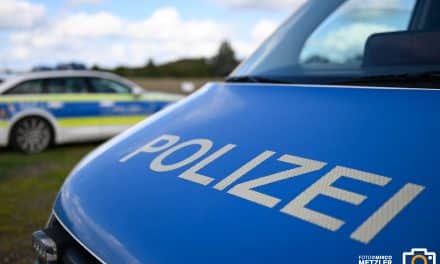 Explosiv und gefährlich: Polizei sichert Böller auf Grünstadter Berg