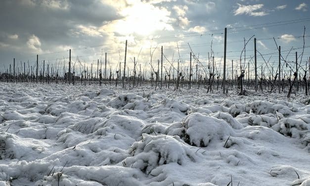 Glatteisgefahr durch Frost, Schnee und Regen in Rheinland-Pfalz